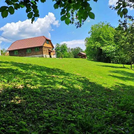 Willa Bakina Iza Duga Resa Zewnętrze zdjęcie