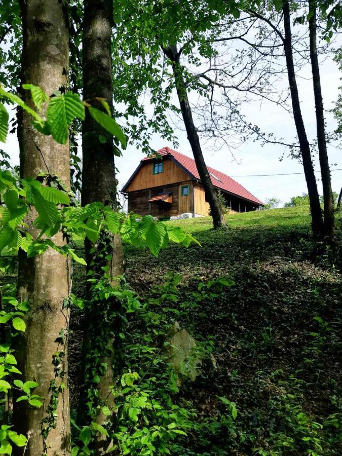 Willa Bakina Iza Duga Resa Zewnętrze zdjęcie